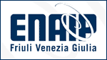 CENTRO STUDI ALESSANDRO VOLTA - FORMAZIONE PROFESSIONALE - UDINE
